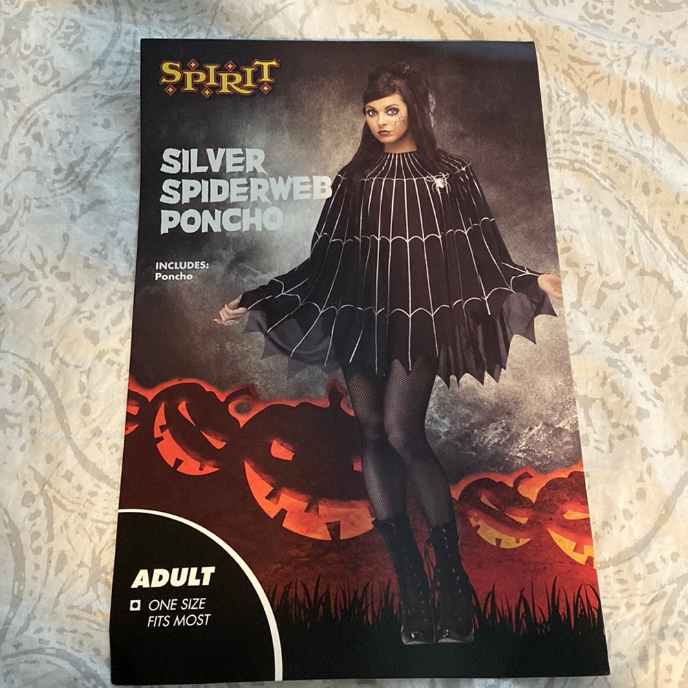 Silver Spiderweb Poncho